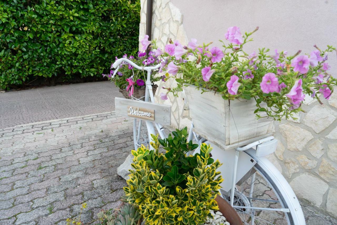 Bed & Breakfast Mafi Orsogna 外观 照片