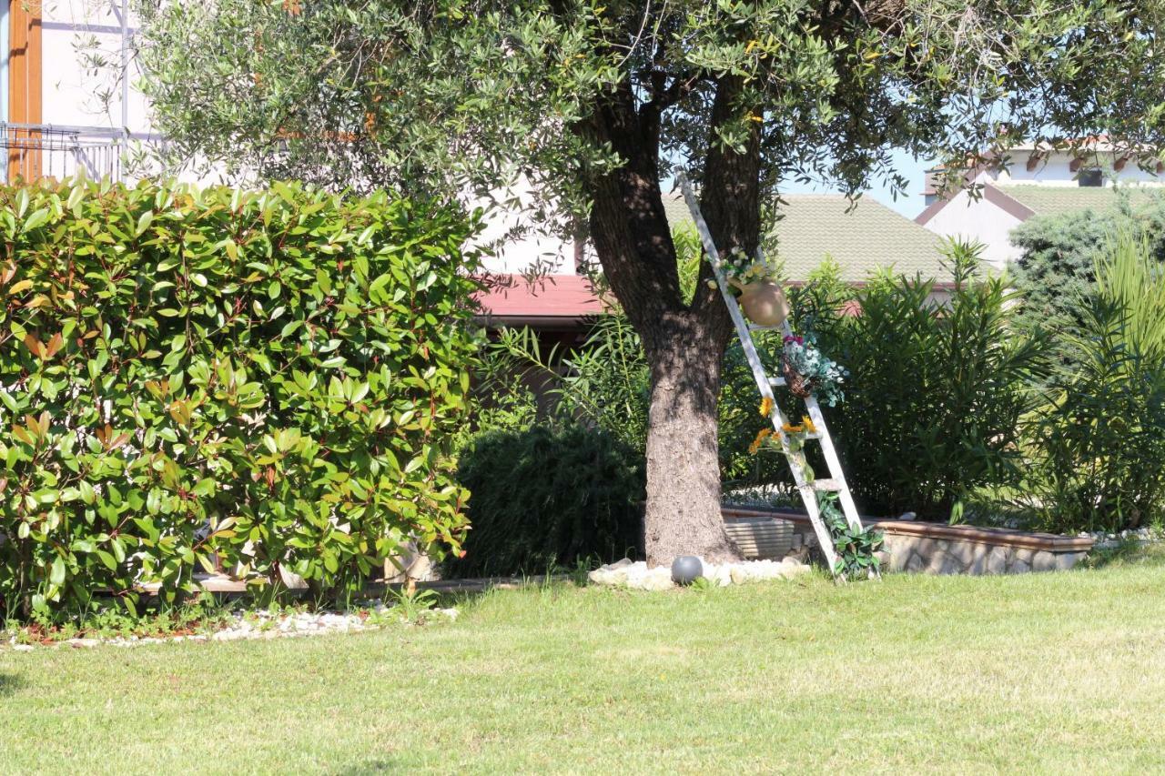 Bed & Breakfast Mafi Orsogna 外观 照片