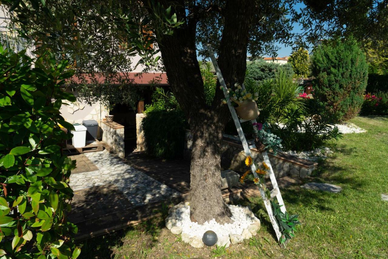 Bed & Breakfast Mafi Orsogna 外观 照片