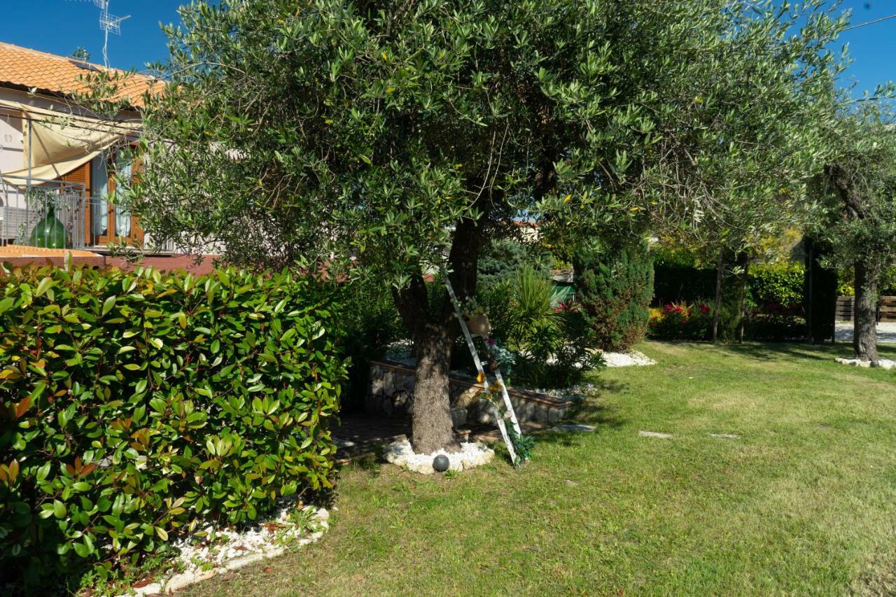 Bed & Breakfast Mafi Orsogna 外观 照片